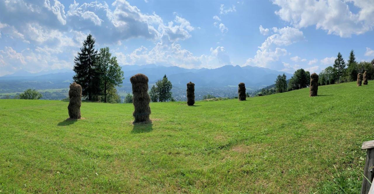 Willa Dolina Harenda Zakopane Exterior photo